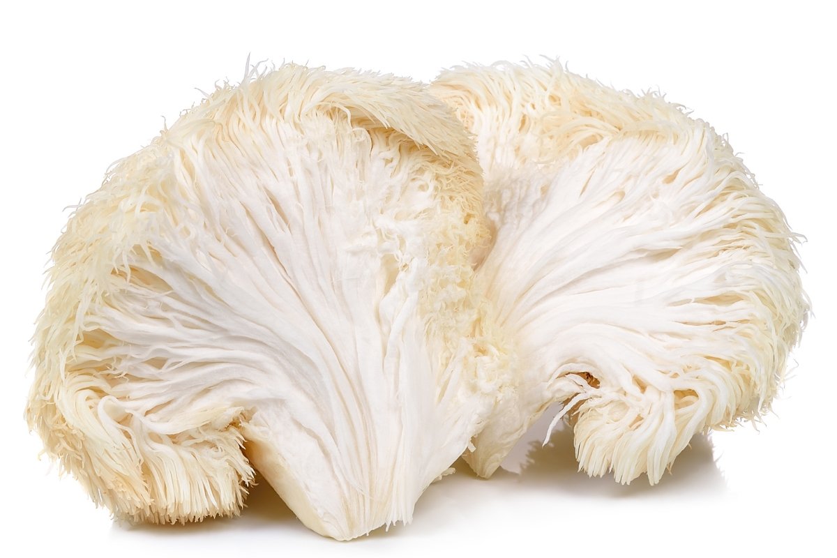 The Benefits of Lion’s Mane for Acne - Forij.co
