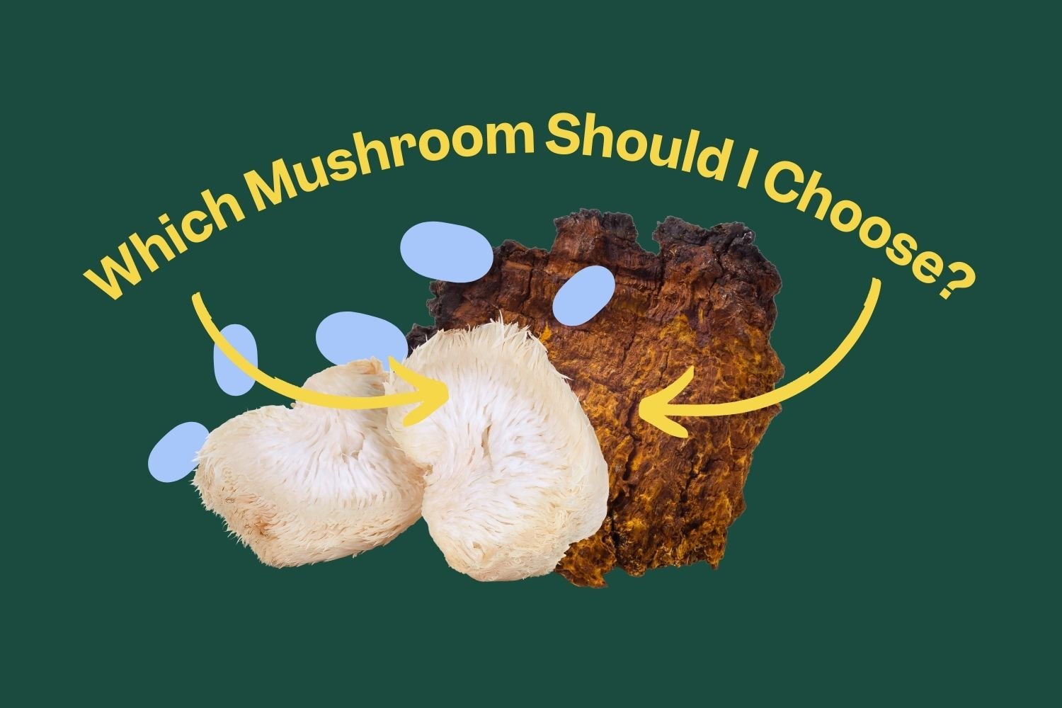 Which Mushroom Should I Choose? - Forij.co